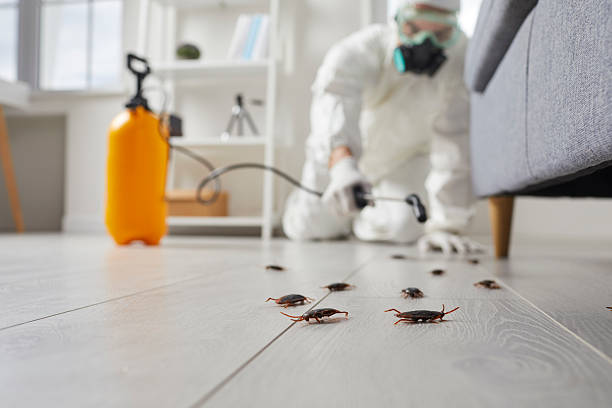 Commercial Kitchen Cockroach Control in Yacolt